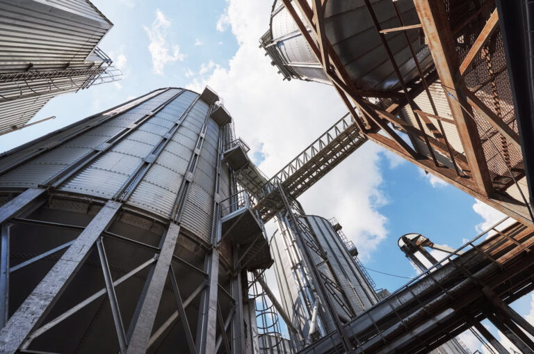    Фото: freepik.com/standret Ольга Шмырева