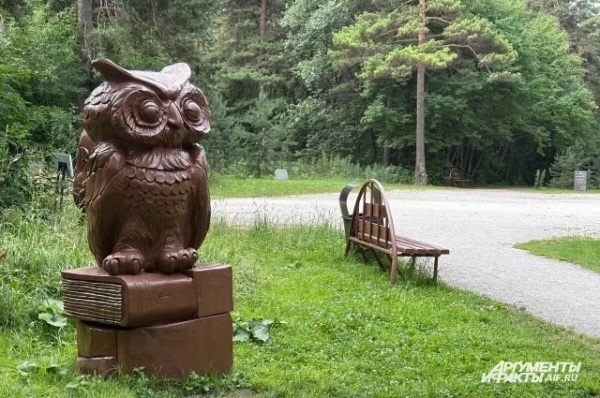    Биолог Куприянов рассказал, почему сосновый бор в Кемерове может погибнуть