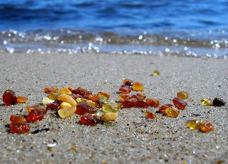 Фото из свободных источников.