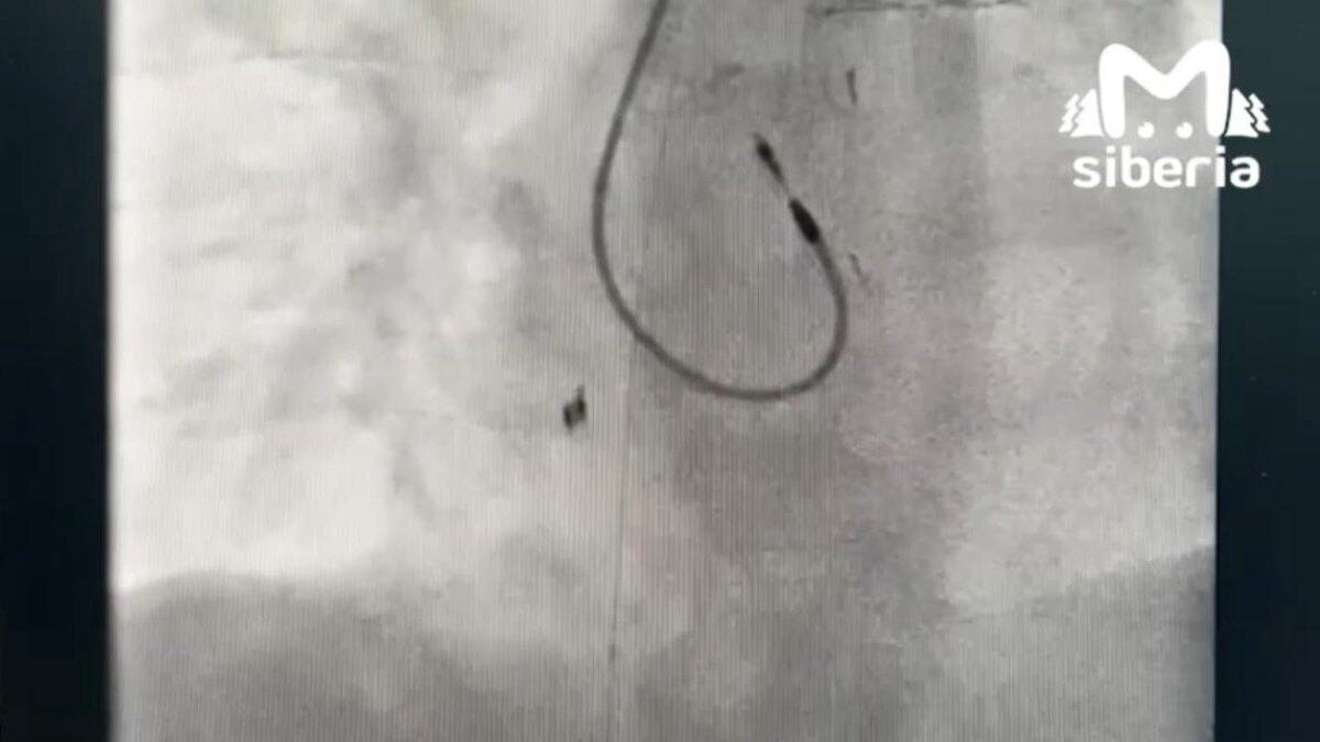    Фото: Виктория Саликова / Горсайт