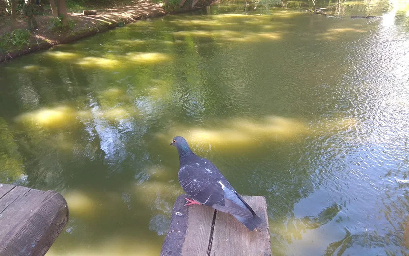    Главные новости Ижевска на утро 28 июля: День борьбы против рака головы и шеи и День ВМФ