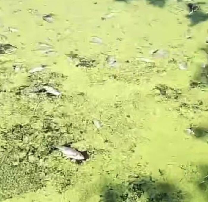 Источник фото: Соцсети