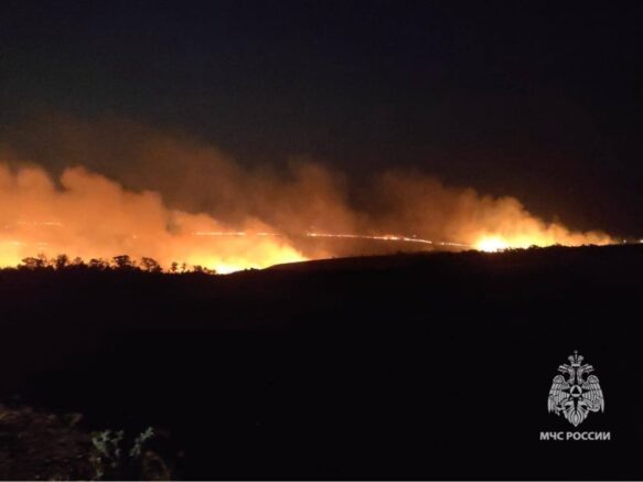    Ландшафтный пожар / ГУ МЧС по Ставропольскому краю