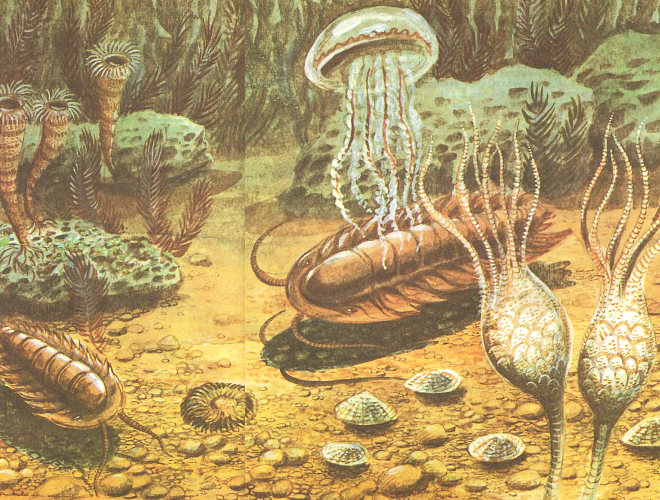 Иллюстрация из обсуждаемой книги