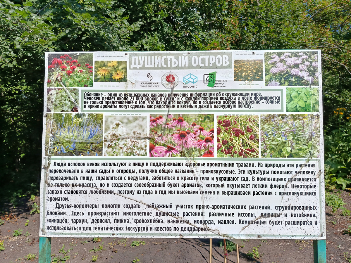 Создам себе композицию в саду и тоже назову - Душистый остров)