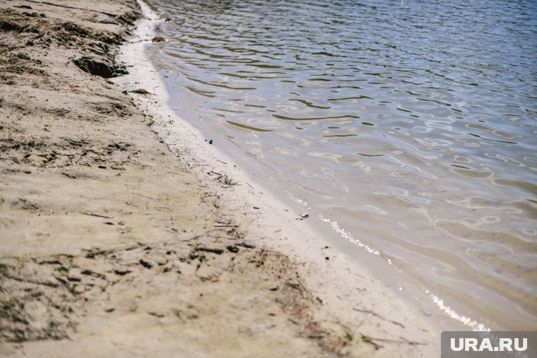  В АТОР отреагировали на аренду мест на пляжах Сочи  📷
