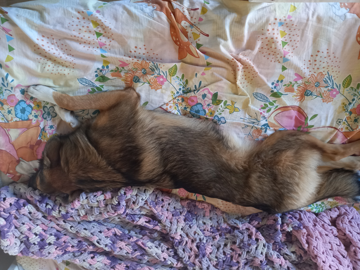 Вашу кровать заняли