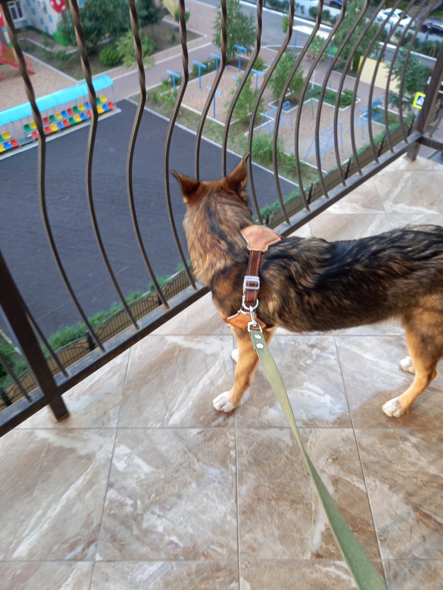 Там чёта интересное