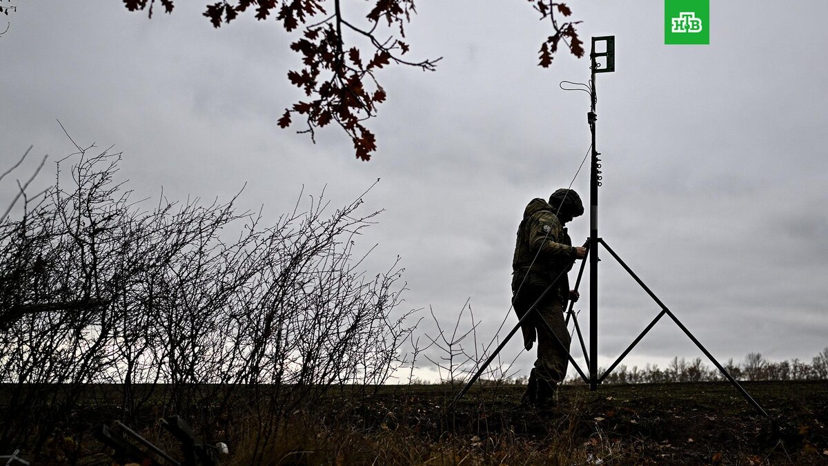    Фото: РИА Новости © 2025, Сергей Бобылев