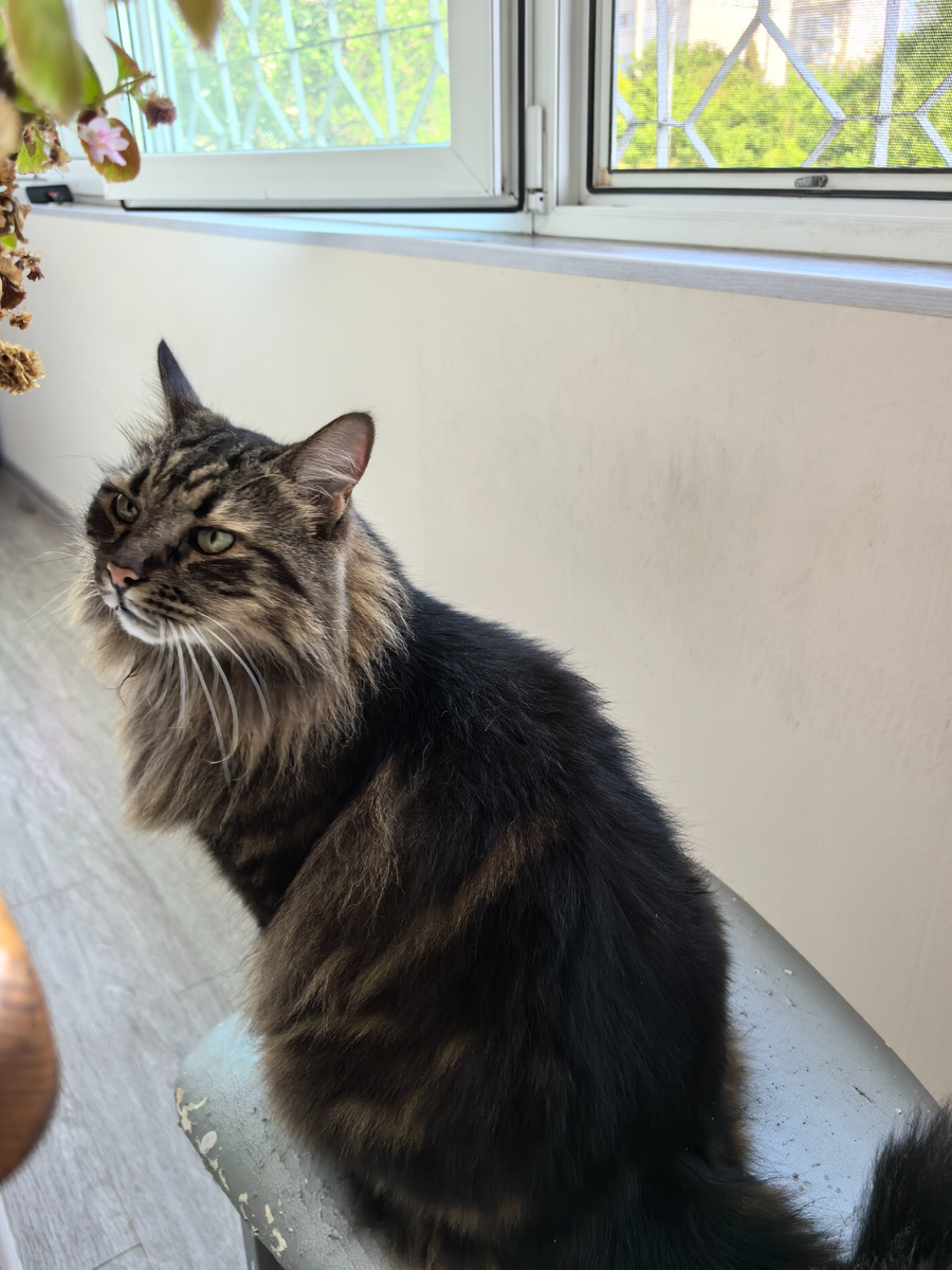 Стул старый и некрасивый.