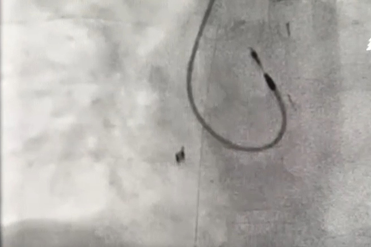    Фото Mash Siberia