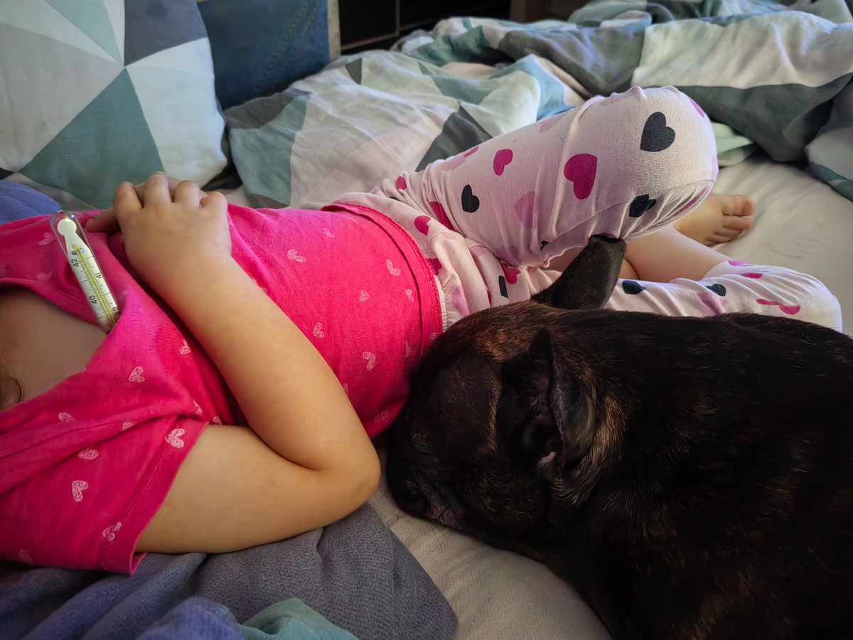 И Буся тут как тут - команда поддержки.