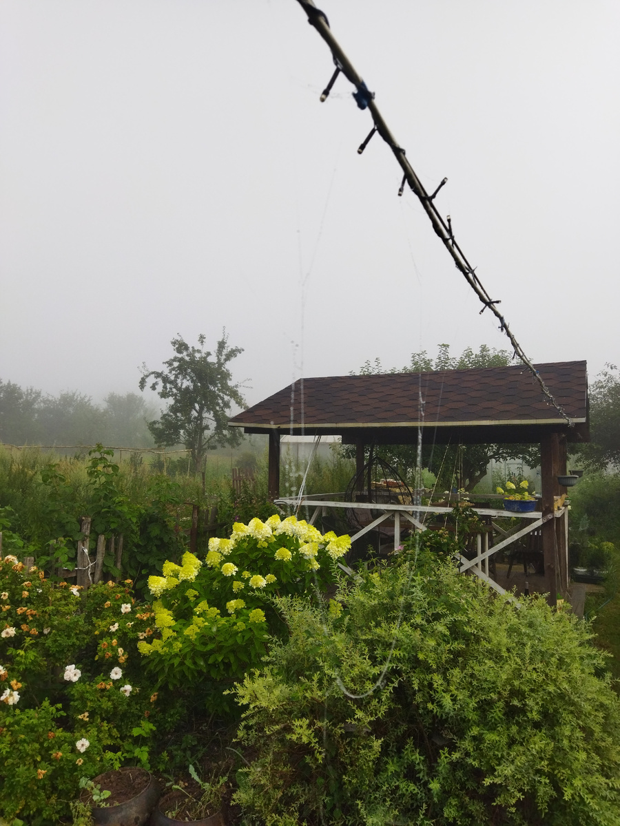 Паучее зеркало