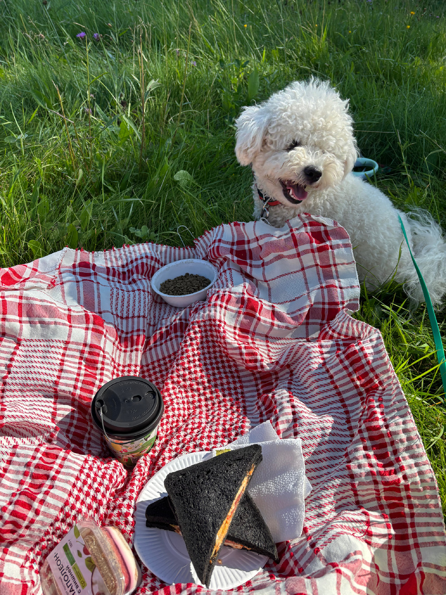 У Эми вопрос, почему меню не согласовано 😁
