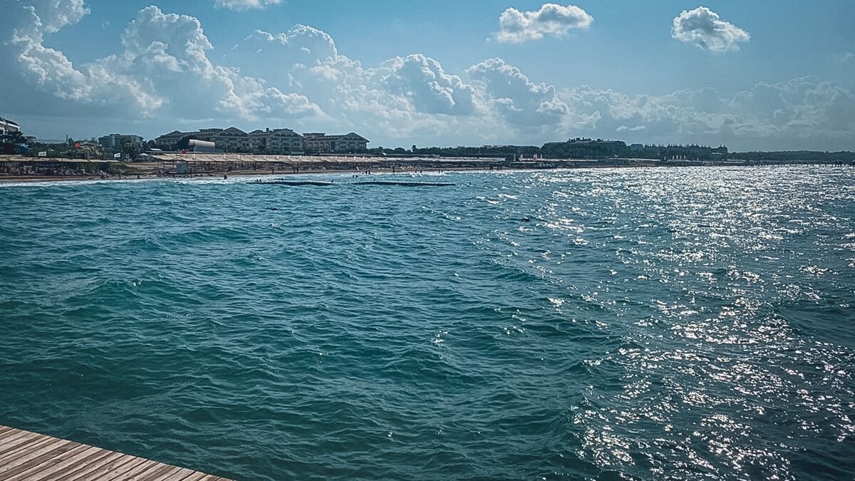     Источник: 1MI