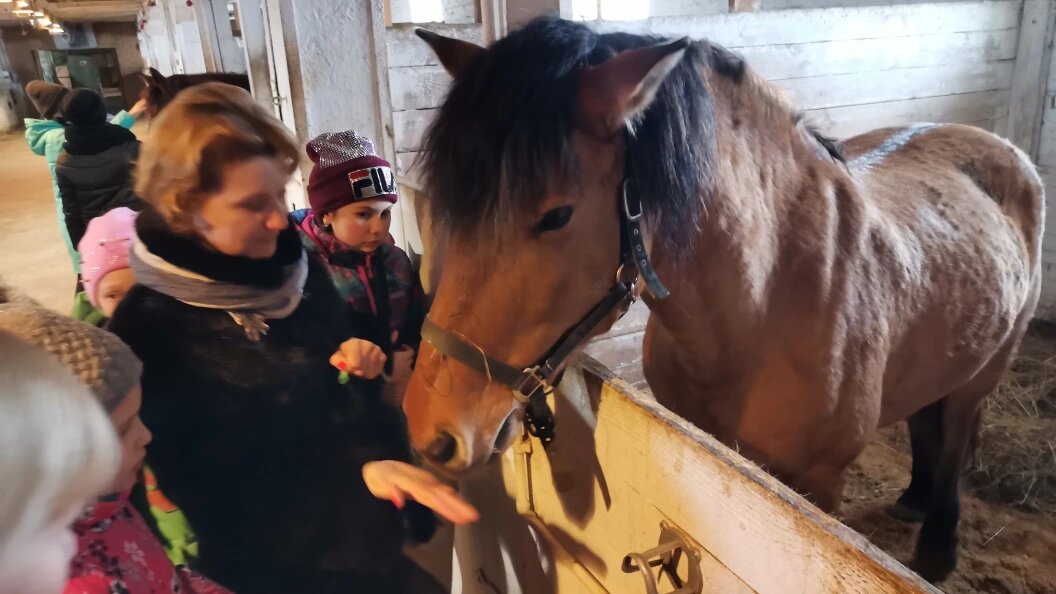    Фото: Олег Рукавицын/Царьград