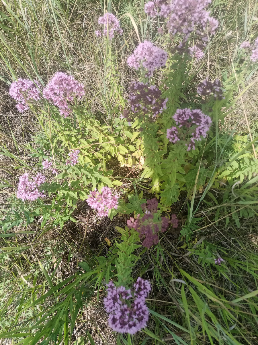 Фото из своего архива