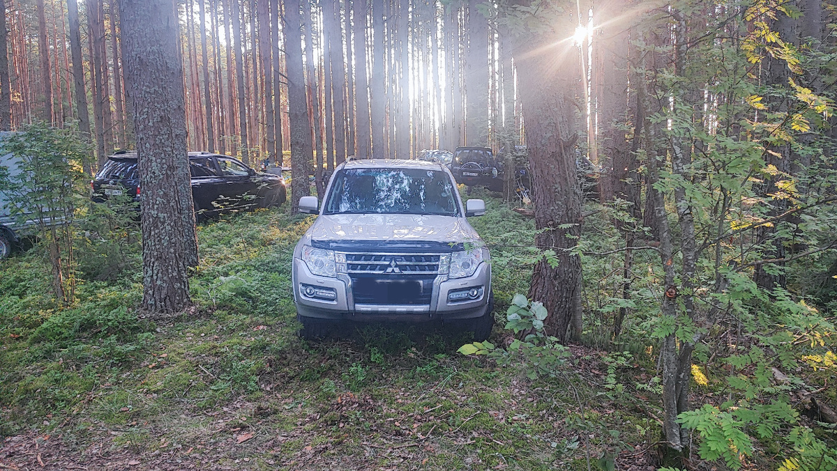 Прицеп сзади