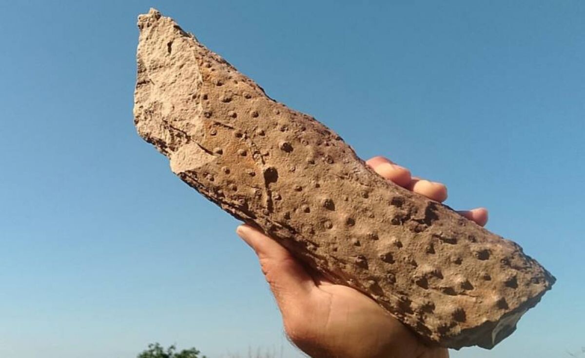    Фото: Геология и палеонтология Калужской области