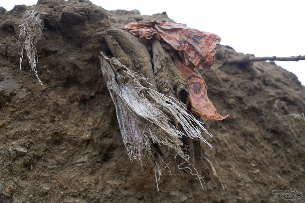    Фото: Лидия Аникина © ИА «Уральский меридиан»