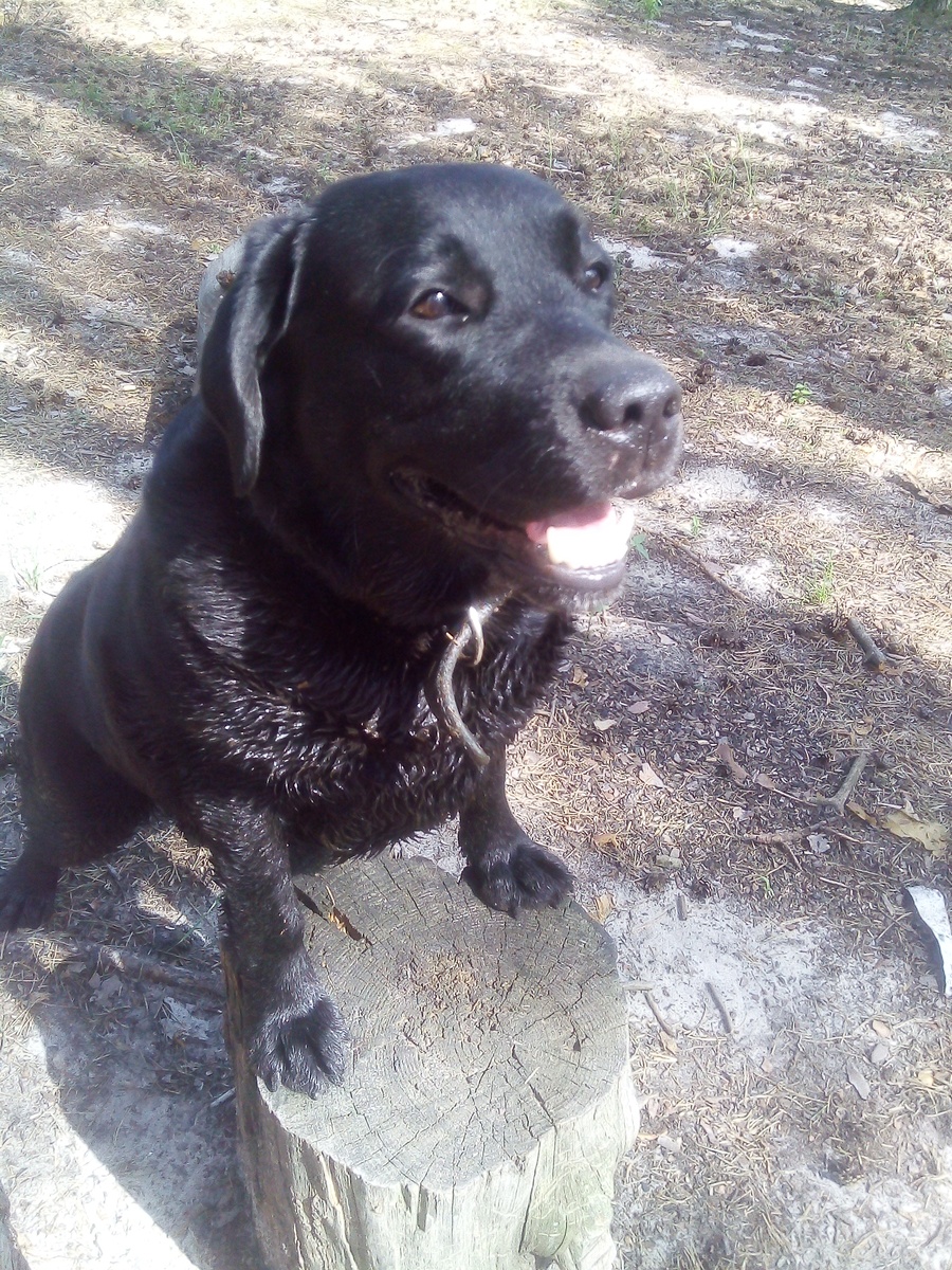 Фото автора.