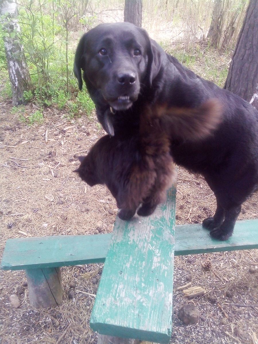 Фото автора .