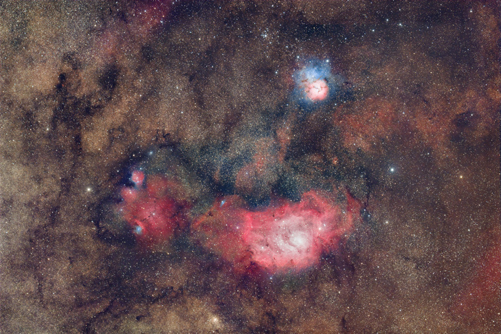    Фото Алексея Полякова