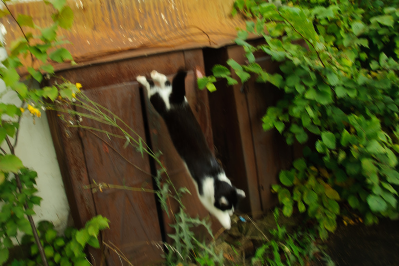    ФОТО: Dmitry Chasovitin/Global Look Press