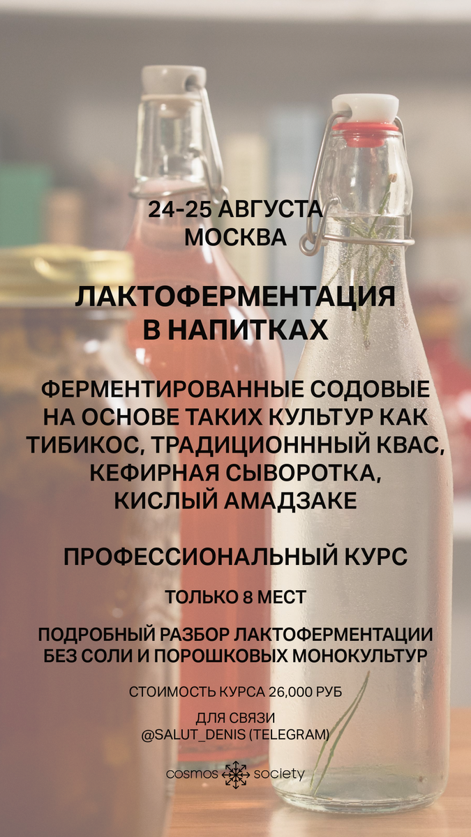 Профессиональный курс "Лакто-Ферментация в Напитках" - без соли и порошковых монокультур