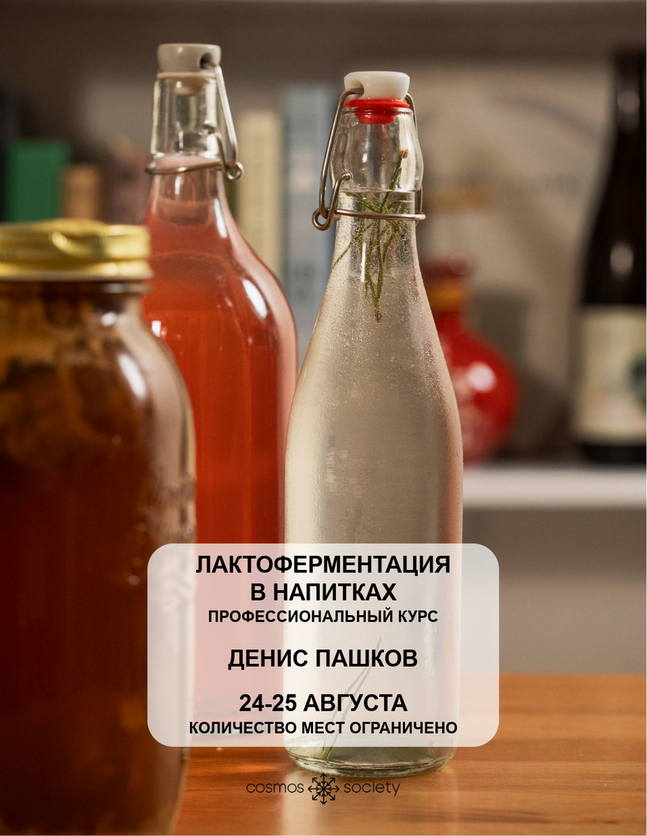 Профессиональный курс "Лакто-Ферментация в Напитках" - без соли и порошковых монокультур