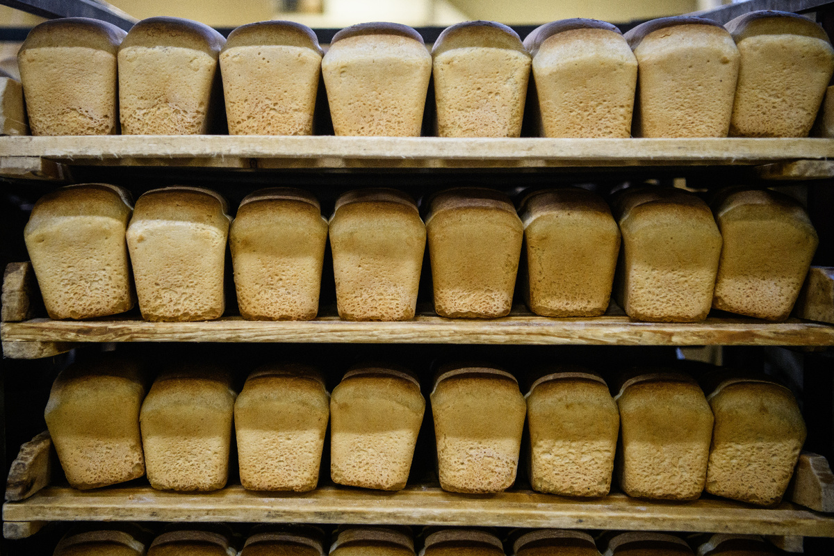 ФОТО: Ilya Moskovets/ URA.RU/ Global Look Press