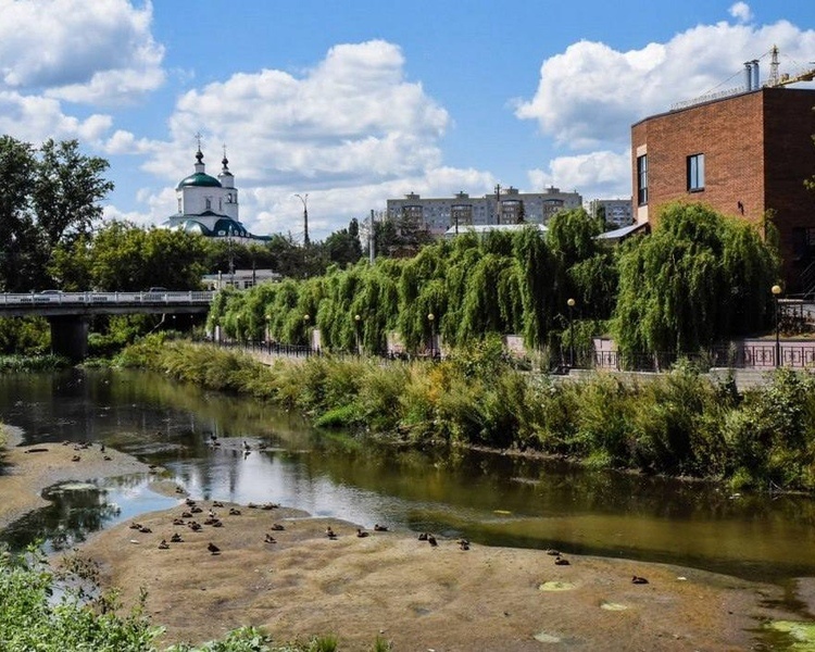     Александр Хинштейн поручил разобраться с ситуацией на Утином острове в Курске