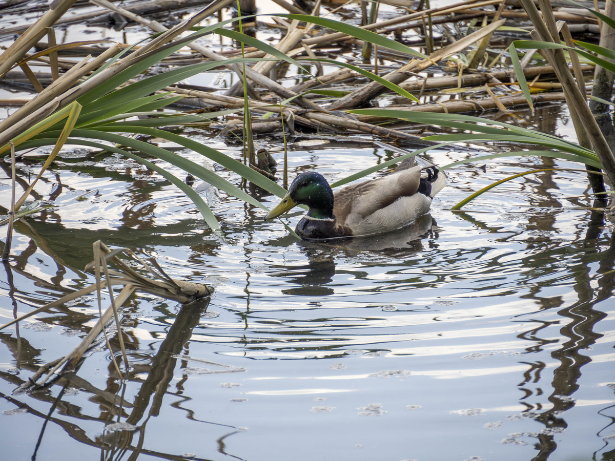 Реку уже внесли в каталог географических названий.  Фото: ФедералПресс / Антон Федулов