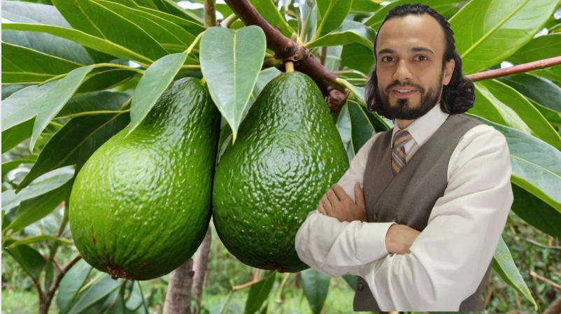 Авокадо: золотое правило — вкусно, полезно, в меру! ✨