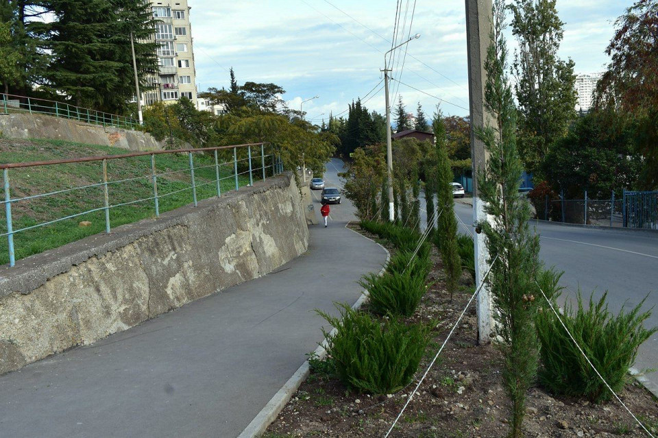 volodya babich, автор отзыва
