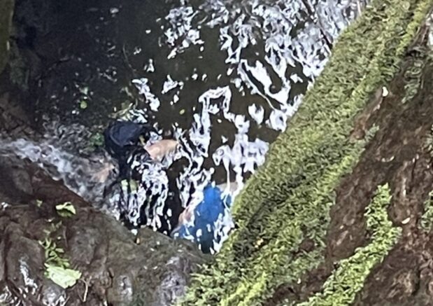    место происшествия / МЧС Республики Абхазия