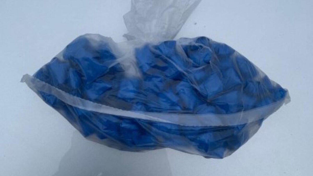    Фото: Екатерина Шамина / Горсайт