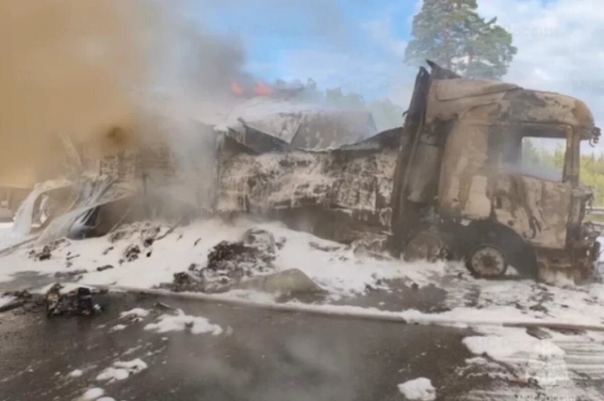    Два автомобиля сгорели на трассе М-7 «Волга» в Камешковском районе