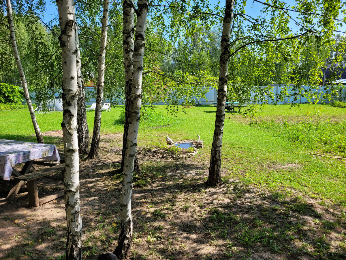 От этого места начинается тень