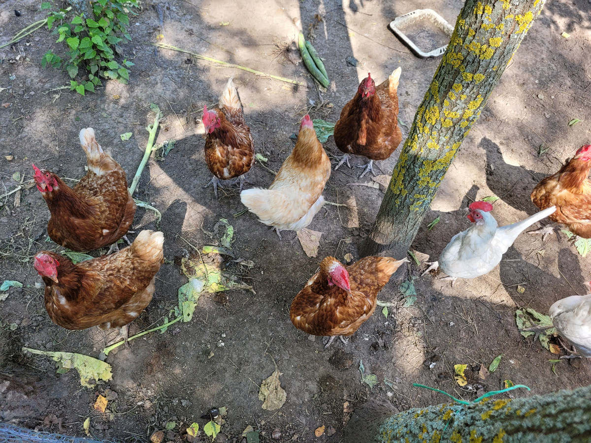 Это они позируют