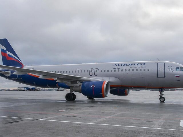    Фото: Москва 24/Антон Великжанин