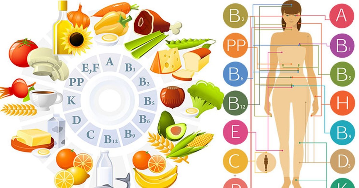 Витамины как "механики" в теле: участвуют в обмене, нервной системе, иммунитете