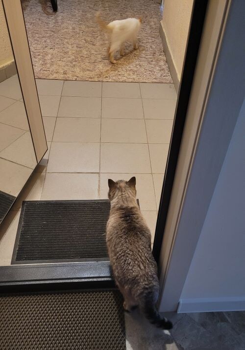 напряжённое ожидание