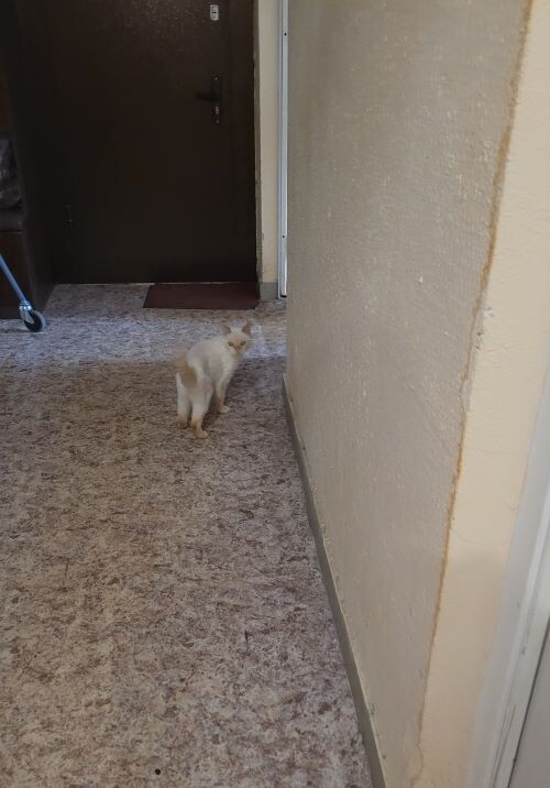 там еще одна дверь!