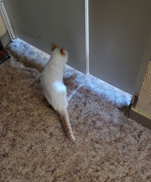 в смысле - закрыто???