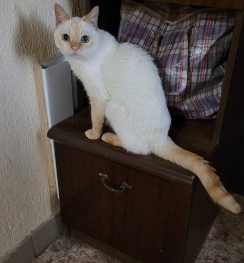 Зёма осваивает новые земли