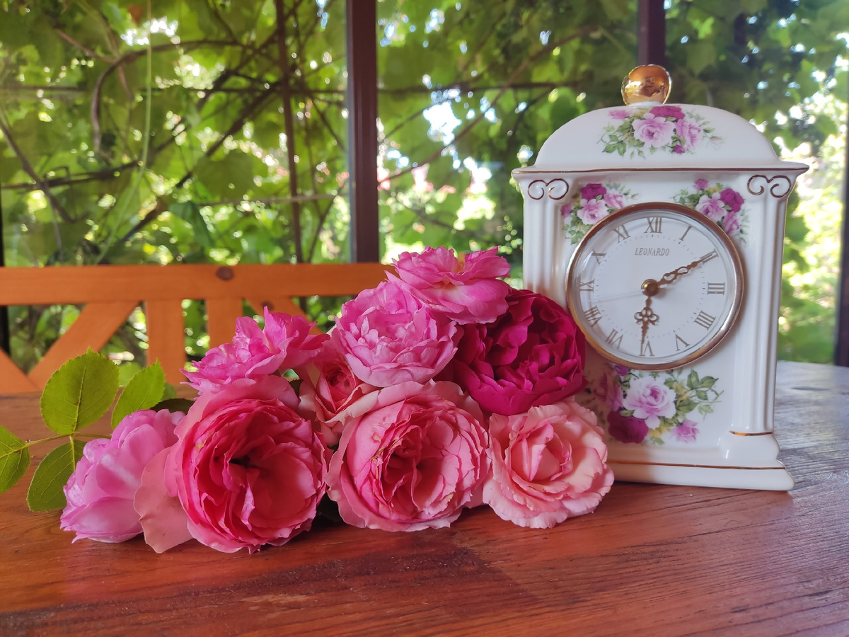 Тикают часики в саду непрерывного цветения и фиксируют результаты и сроки цветения