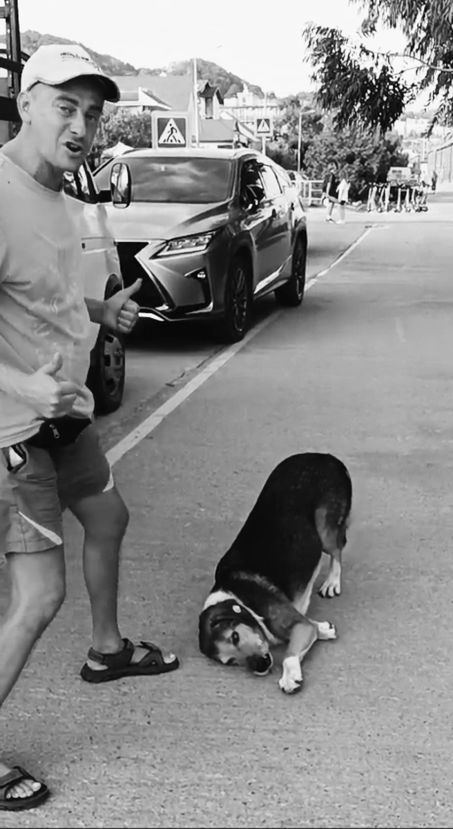 Бродяга Братан 🐕 в позе "Поклон"