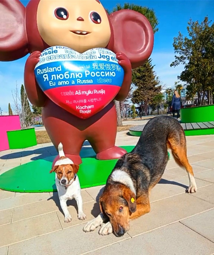 Бродяга Братан 🐕 и Жасмин - Поклон для вас, Друзья! 👏 👏 👏 