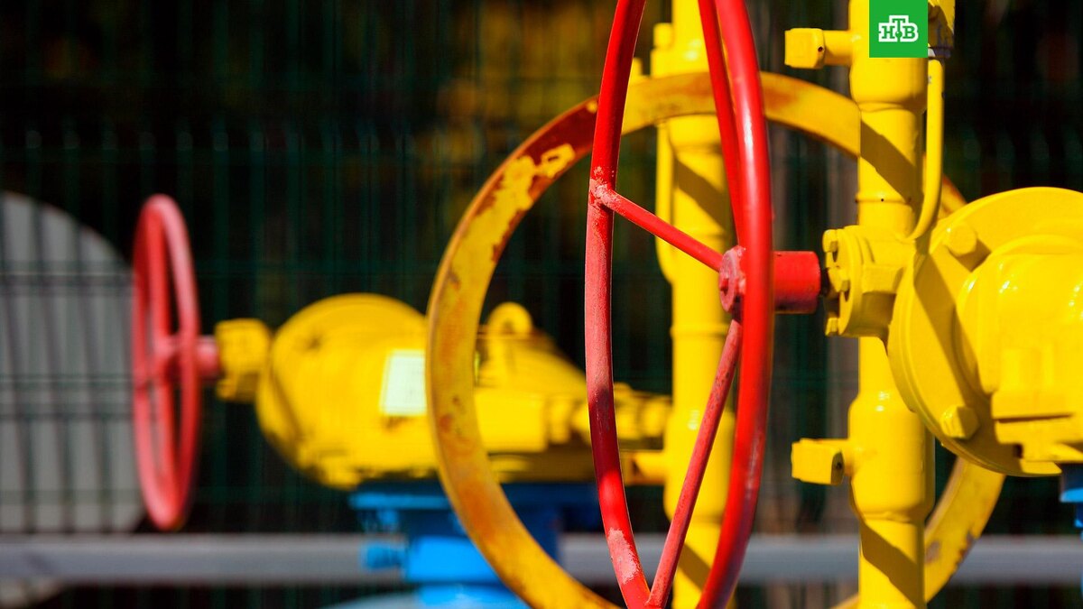    Фото: РИА Новости © 2025, Максим Богодвид